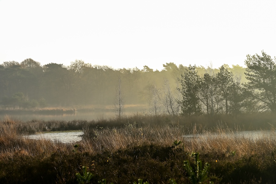 Omgeving natuur Herselt